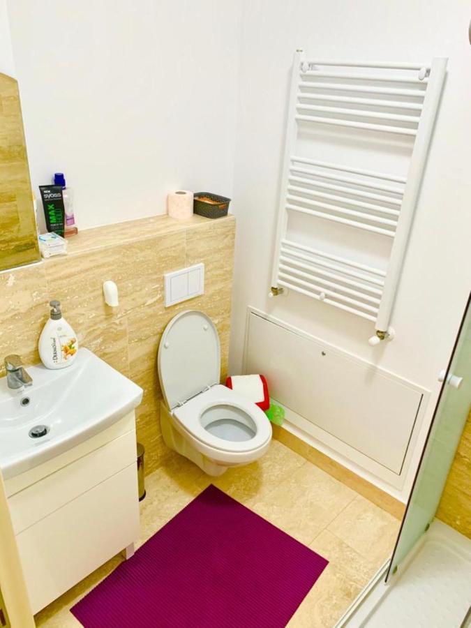 Big & Cosy Apartment With 3 Double Beds & 2 Bathrooms Iasi Eksteriør bilde